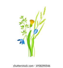 Freshly Cut Wildflowers and Meadow Plants on Stem as Floral Vector Composition