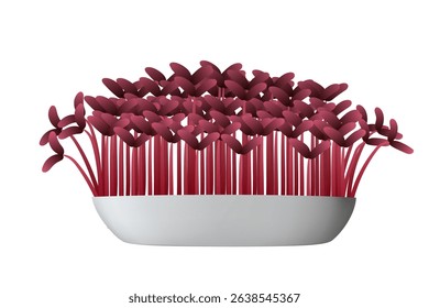 Freshly grown red amaranth microgreens thriving in a simple white bowl, exhibiting vibrant colors and robust growth, perfect for enhancing healthy meals and adding nutritious flavor