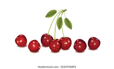 Freshly Harvested Cherries with vector Design: Nature’s Sweet Treat for All Occasions