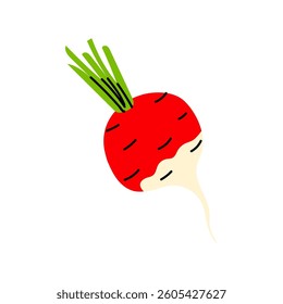 Freshly harvested radish with vibrant colors and green leaves in a minimalist design