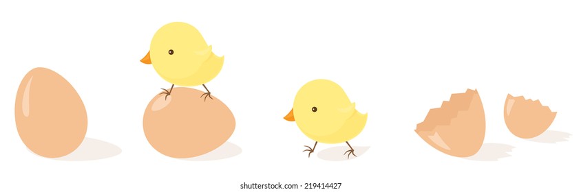 7,582 Hatching chick illustration Images, Stock Photos & Vectors ...