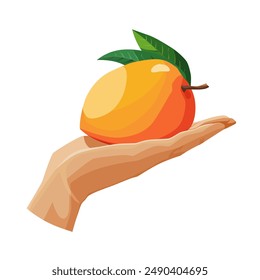 Freshly and healthy yellow mango in the palm of the hand isolated on white background. Vector illustration in flat style with tropical fruit. Clipart for card, banner, flyer, poster design