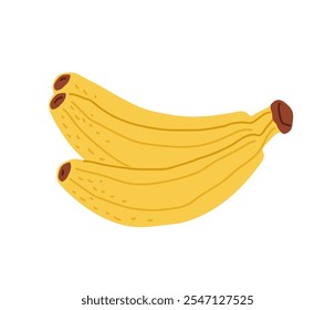 Freshly picked bunch of ripe bananas against a white background