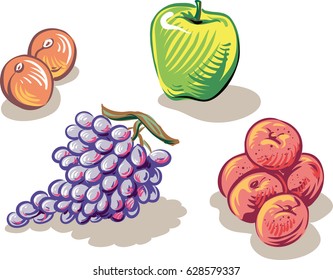 freshly picked ripe fruit.