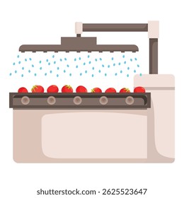 Tomates recém-colhidos sendo lavados em transportador industrial antes de serem transformados