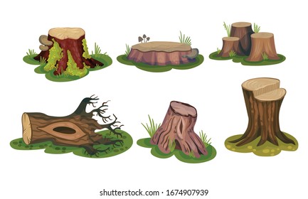 Freshly-cut Stubs and Moss-covered Stumps Standing on Green Patch Vector Set