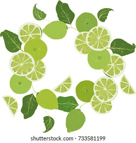 
Freshness and beauty of the lines in citrus