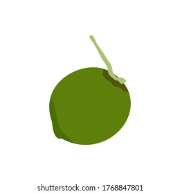 Freshness coconut icon. Flat illustration of freshness coconut vector icon for web design