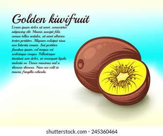 freshness golden kiwifruit leaflet vector illustration