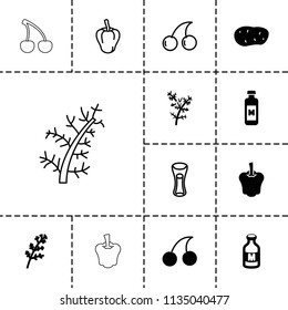 Freshness icon. collection of 13 freshness filled and outline icons such as deel, cherry, milk, pepper, milk glass. editable freshness icons for web and mobile.