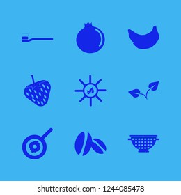 freshness icon. freshness vector icons set coffee beans, sprout, garnet and sun leaves