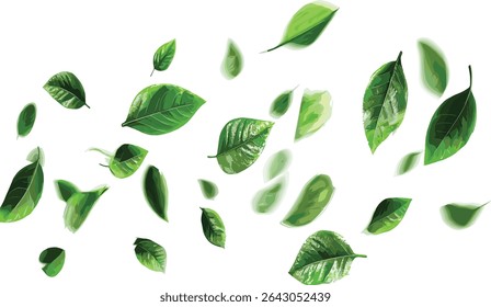 Freshness leaves twist vector greenery flowing cutout in the air, nature foliage, organic shapes, airy design, natural textures, vibrant leaves, eco friendly backgrounds