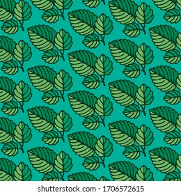 Freshness. Mint leaf pattern. Natural.