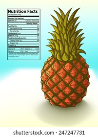 freshness pineapple nutrition facts vector illustration