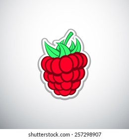 freshness raspberry icon outline color vector illustration