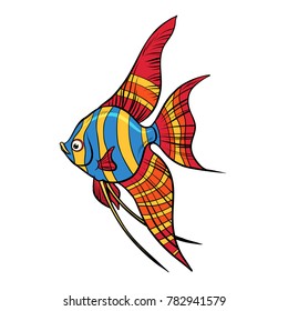 Freshwater angelfish aquarium fish. Isolated on white background. Pop art retro vector illustration