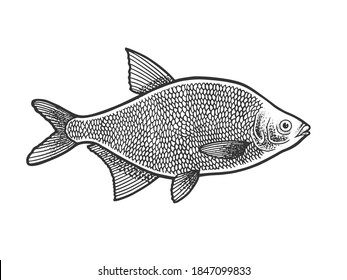 鯛 イラスト 白黒 Images Stock Photos Vectors Shutterstock