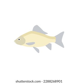 freshwater carp fish flat design vector illustration