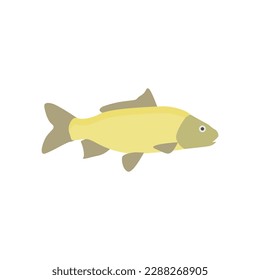 Süßwasserkarpfen Fisch flach Design Vektorgrafik