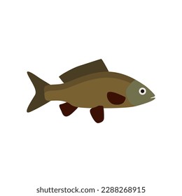 freshwater carp fish flat design vector illustration