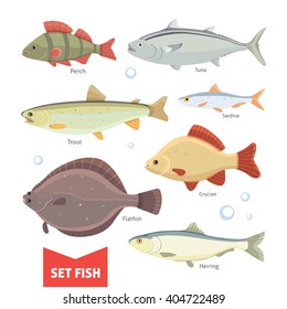  Freshwater Cartoon fish collection isolated on white background. Fish perch vector and others.