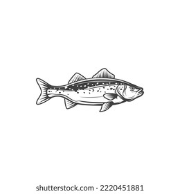 El bacalao de agua dulce aisló el ícono monocromo del pescado de scumbridae. Perca amarilla vectorial, animal del lago del río. Mascota deportiva de pesca, pez tunny de agua salada dibujado a mano. Pez de gamefish europeo de agua dulce, Balkhash