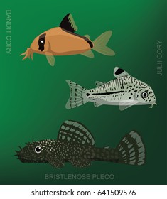 Freshwater Cory Catfish Set Cartoon Vector Illustration