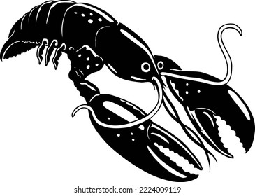 Freshwater Crawfish Shellfish Vector Illustration