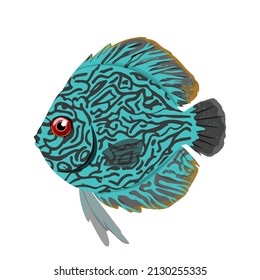 1,041 Aquarium discus Stock Illustrations, Images & Vectors | Shutterstock