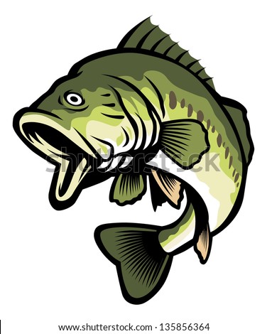 freshwater fish