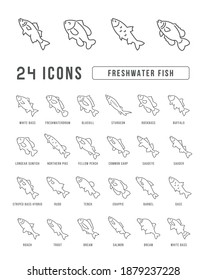 Freshwater Fish. Collection of perfectly thin icons for web design, app, and the most modern projects. The kit of signs for category Food and Drinks.