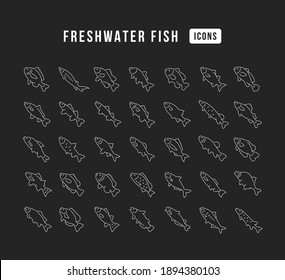 Freshwater Fish. Collection of perfectly thin icons for web design, app, and the most modern projects. The kit of signs for category Food and Drinks.
