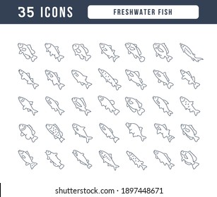 Freshwater Fish. Collection of perfectly thin icons for web design, app, and the most modern projects. The kit of signs for category Food and Drinks.