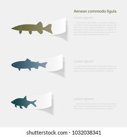 Freshwater fish. Flat sticker with shadow on white background. Vector illustration