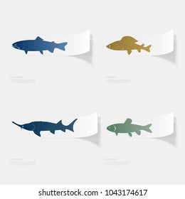 Freshwater fish. Flat sticker with shadow on white background. Vector illustration