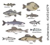 Freshwater fish illustrations. Logperch, Shiner, Pumpkin Seed, Lamprey, Dace, Quillback, Luke Sturgeon, Arctic Grayling.