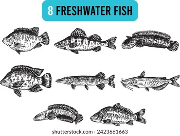 Freshwater Fish isolated on white background. Design element for logo, label, sign, emblem, poster. Vector illustration