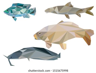 
Freshwater fish in low poly. They live in the Jordan River. Common carp, catfish, barbel fish, tilapia.