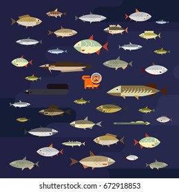 Freshwater fish set