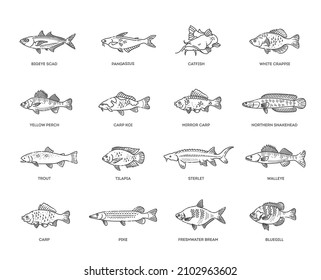 Pescado de agua dulce. Tipos de peces comestibles