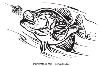 Download Crappie Fish High Res Stock Images Shutterstock