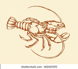 Freshwater isolated on white background. Freehand outline orange ink hand drawn picture icon sketchy in scribble retro style pen on paper