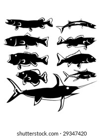 Freshwater and saltwater fish in vector silhouette with stylized illustration