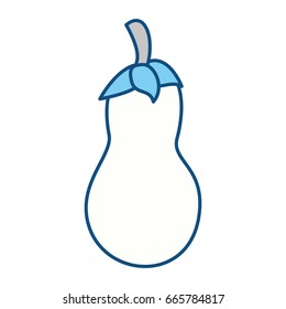 Fressh eggplant vegetable