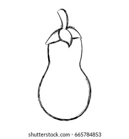 Fressh eggplant vegetable