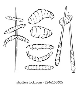 Gusano de bambú frito y larva con palos de comida. Estilo de tinta negra de garabato. Imagen transparente. Vector.