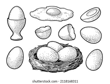 Fried and boiled chicken eggs with broken shell and nest. Vintage black vector engraving illustration for poster and label. Isolated on white background.