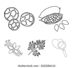 Fried cacao beans, dill, black pepper, vanilla.Herbs and spices set collection icons in outline style vector symbol stock illustration web.