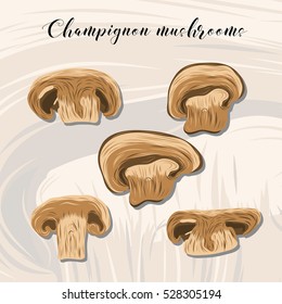 Fried champignon mushrooms on colourful background.
