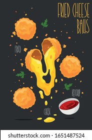 Fried cheese balls. Vector illustration